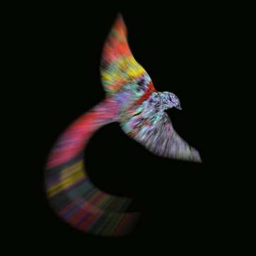 Pochette du single Minha Terra